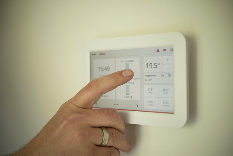 Light and Temperature Needs